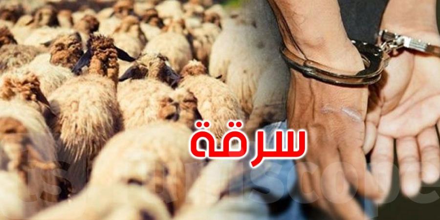 الكاف: الكشف عن عملية سرقة مواشي واسترجاع كامل القطيع - عرب بريس