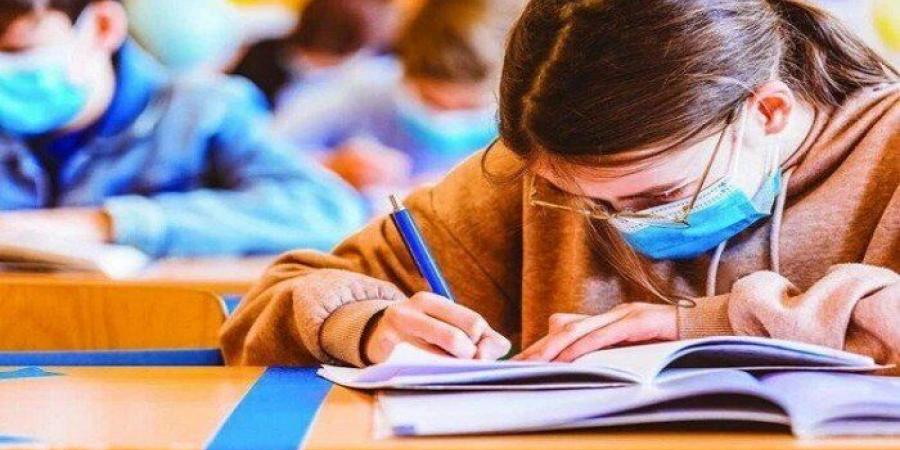 محافظ الجيزة يقرر زيادة الوقت المخصص لامتحان اللغة العربية للشهادة الإعدادية - عرب بريس