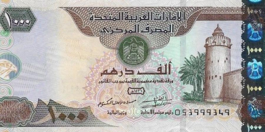 سعر الدرهم الإماراتي مقابل الجنيه اليوم السبت 18 يناير 2025 في البنوك - عرب بريس