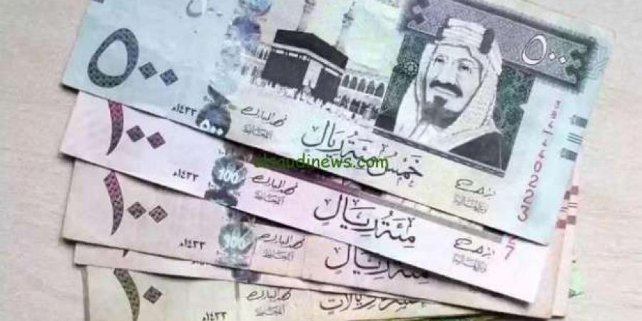 سعر الريال السعودي مقابل الجنيه المصري اليوم الأحد 19-1-2025 - عرب بريس