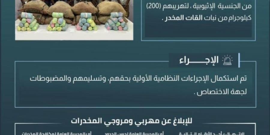 حرس الحدود بعسير يقبض على (8) مخالفين لتهريبهم (200) كيلوجرام من القات المخدر - عرب بريس