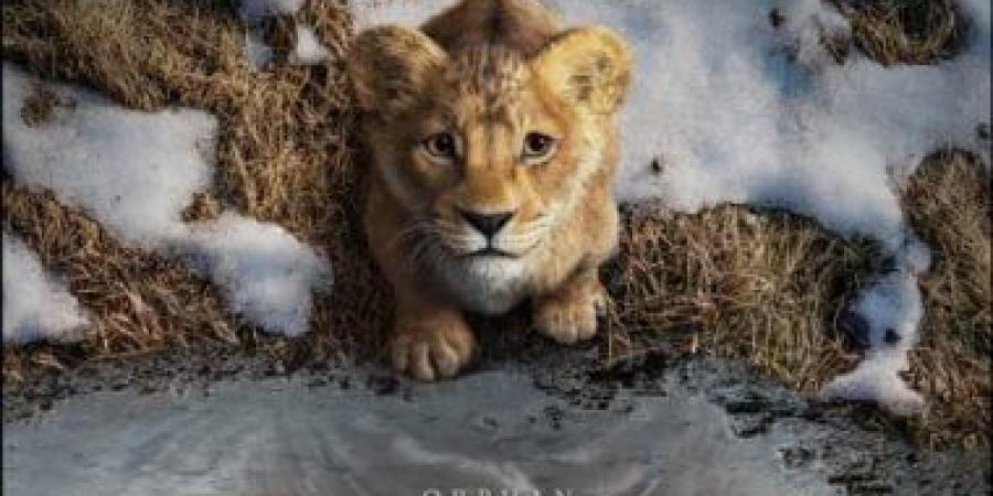 فيلم Mufasa: The Lion King يحقق 579 مليون دولار عالميًا منذ ديسمبر 2024 - عرب بريس