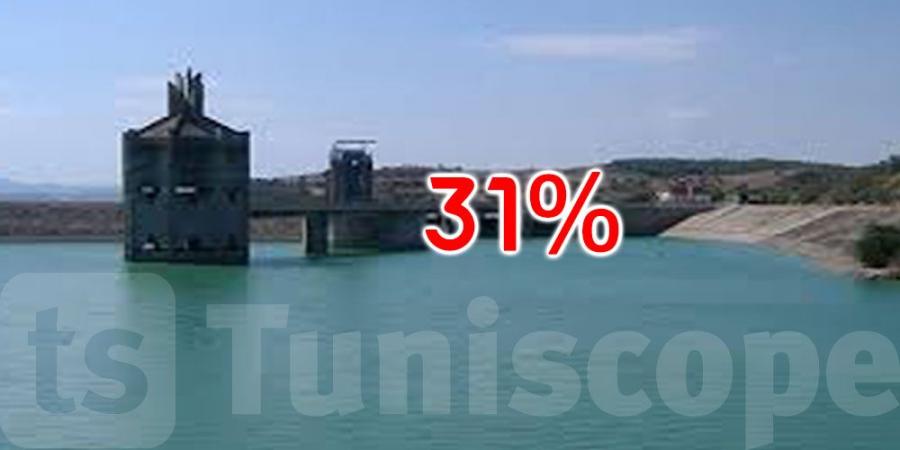 ارتفاع نسبة امتلاء السدود إلى 31،54% - عرب بريس