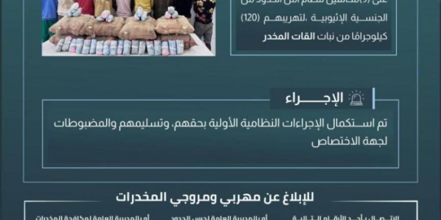 حرس الحدود بعسير يقبض على 9مخالفين لنظام أمن الحدود لتهريبهم 120 كيلوجرامًا من نبات القات المخدر - عرب بريس