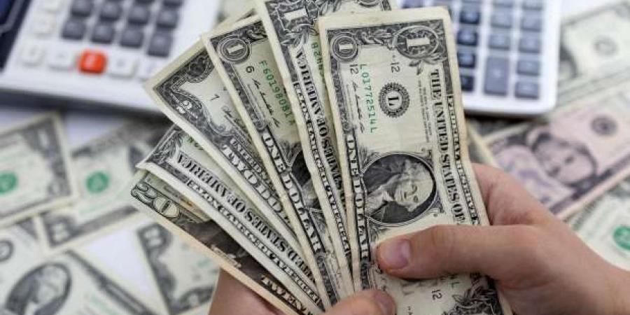 سعر الدولار اليوم الخميس 23-1-2025 أمام الجنيه المصري في البنوك - عرب بريس