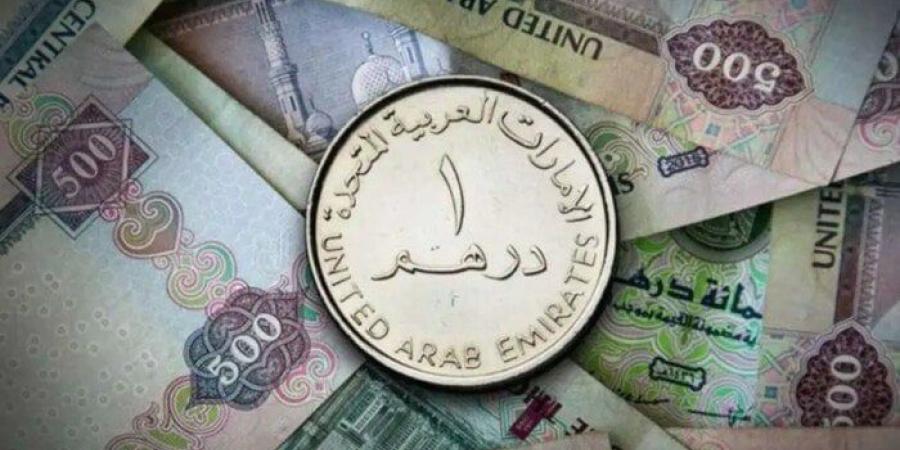 سعر الدرهم الإماراتي مقابل الجنيه اليوم الجمعة 24 يناير 2025 في البنوك.. وفقا لآخر تحديث - عرب بريس