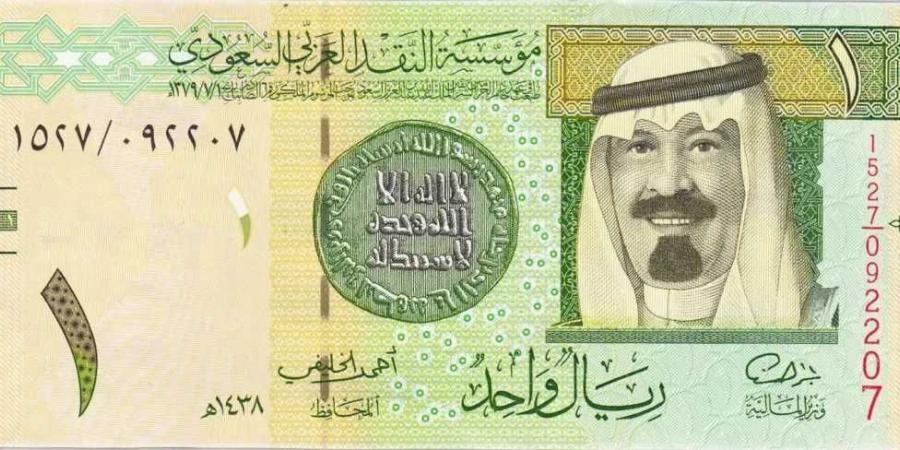 سعر الريال السعودي مقابل الجنيه المصري اليوم الأربعاء 29 يناير 2025 - عرب بريس