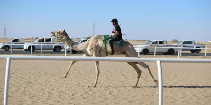 سعودي وقطري وإماراتي يتنافسون على "سيف السعودية" - عرب بريس