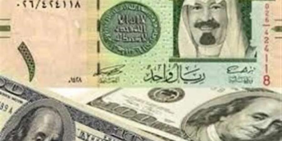 سعر الدولار اليوم الثلاثاء 4-2-2025 أمام الجنيه المصري في البنوك - عرب بريس