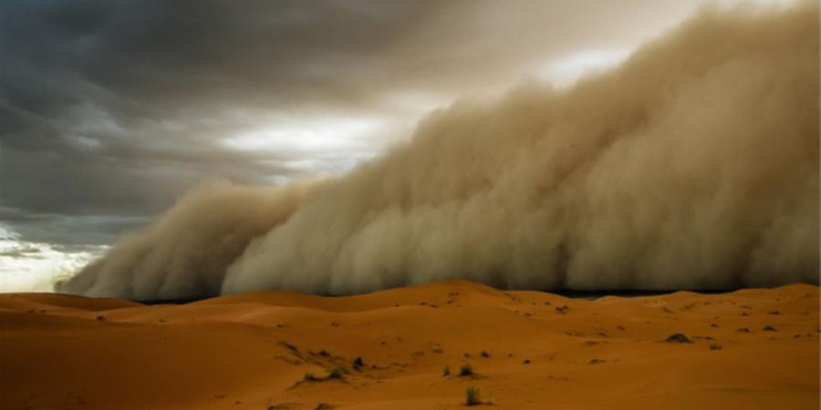 "هبات الرياح تتجاوز الـ100كم/ساعة في بعض المناطق" .. "طقس العرب" يحذر من موجات غُبارية كثيفة الأربعاء والخميس - عرب بريس