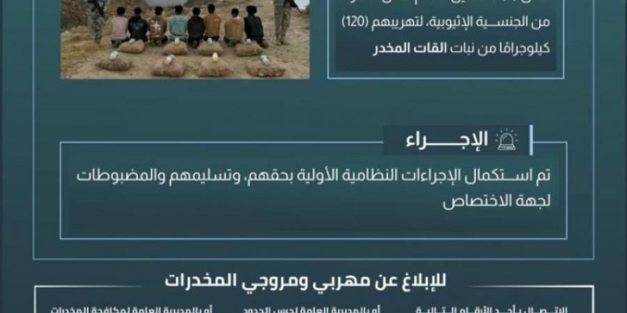 حرس الحدود بعسير يقبض على 8 مخالفين لنظام أمن الحدود لتهريبهم (120) كلجم من نبات القات المخدر - عرب بريس