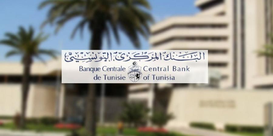 البنك المركزي ووزارة المالية يتعين عليهما إجراء تدقيق بشأن عدم تطبيق قانون التخفيض في فوائض القروض - خبير - عرب بريس