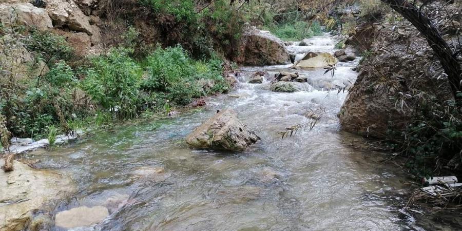 مطالب بإدراج راجب ضمن المدن السياحية العالمية - عرب بريس