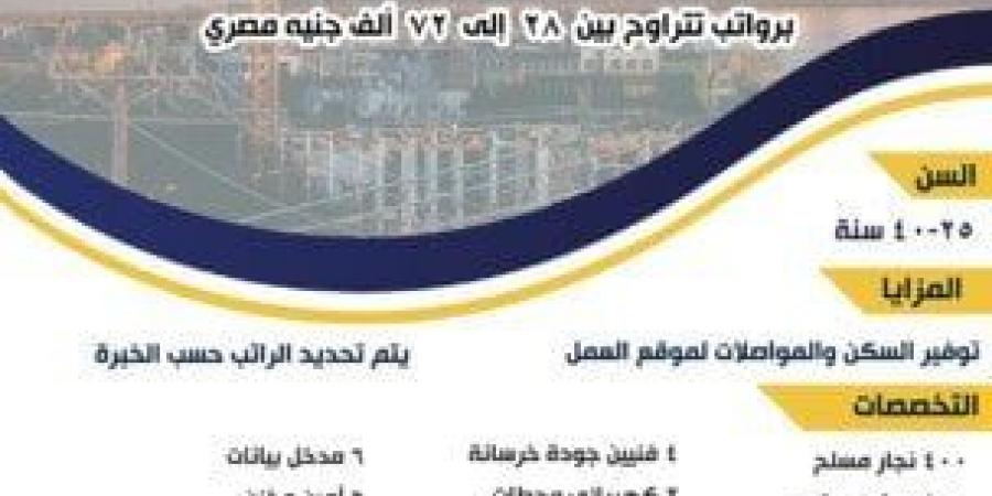 2305 فرصة عمل.. التخصصات والشروط وكيفية التقديم - عرب بريس