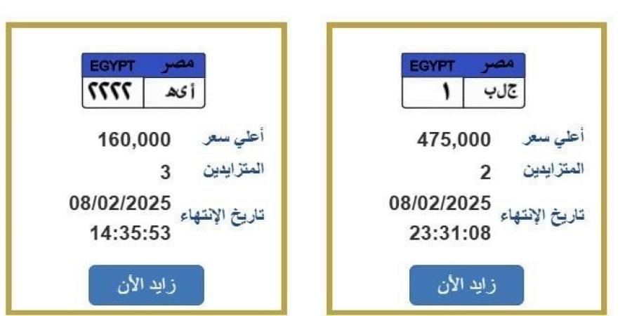 «ج.ل.ب ـ 1».. المرور تطرح لوحة سيارة بنصف مليون جنيه - عرب بريس