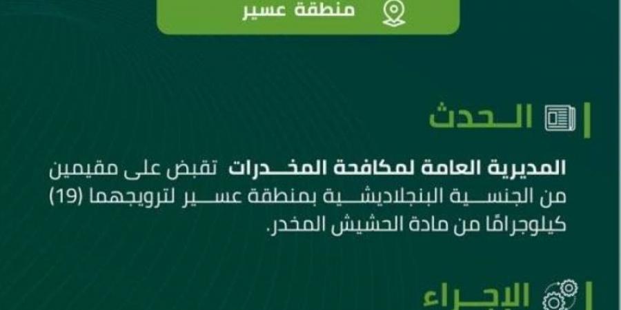 مخدرات عسير تقبض على مقيمين لترويجهما (19) كيلوجرامًا من الحشيش المخدر - عرب بريس