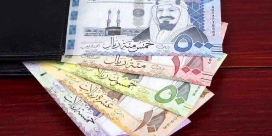 سعر الريال السعودى في مصر اليوم.. الأربعاء 12-2-2025 - عرب بريس