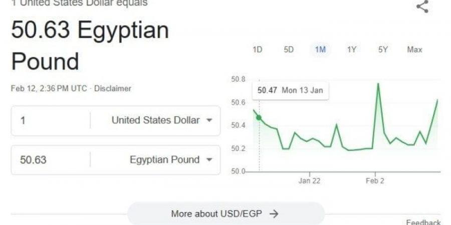 الأخضر يستقر.. سعر الدولار اليوم الأربعاء 12 فبراير 2025 في البنوك - عرب بريس