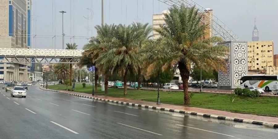 الأماكن والمواعيد.. ضباب متباين الشدة على أجزاء من 10 مناطق - عرب بريس