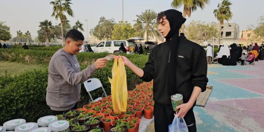 خالية من السعرات الحرارية.. إنتاج 35 ألف شتلة "ستيفيا" في مزرعة بالأوجام - عرب بريس