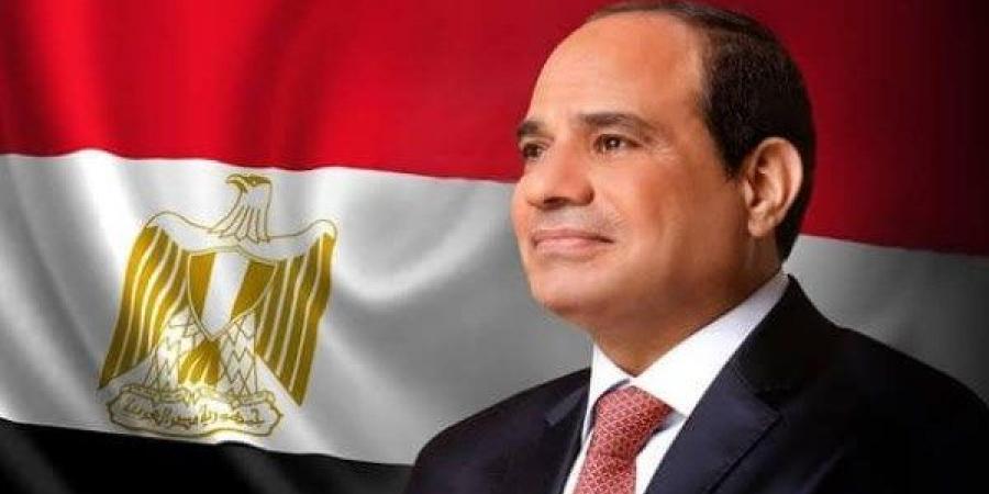 الرئيس السيسي يبحث تعزيز التعاون السياحي مع مجموعة بارسيلو الإسبانية - عرب بريس