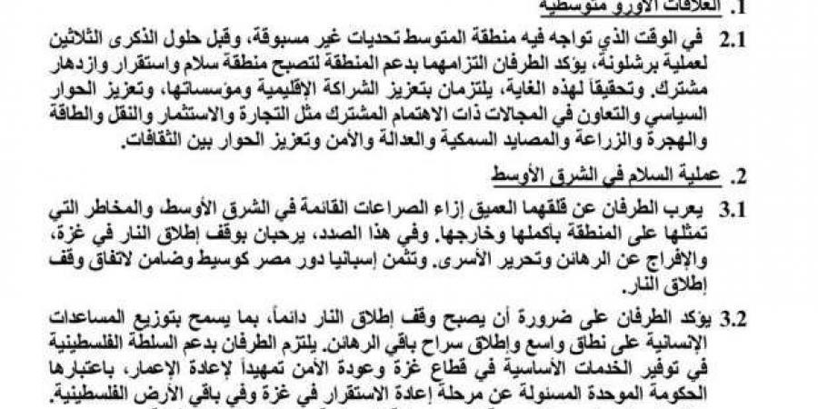 بيان مشترك بين مصر وإسبانيا بشأن القضايا الدولية والإقليمية - عرب بريس