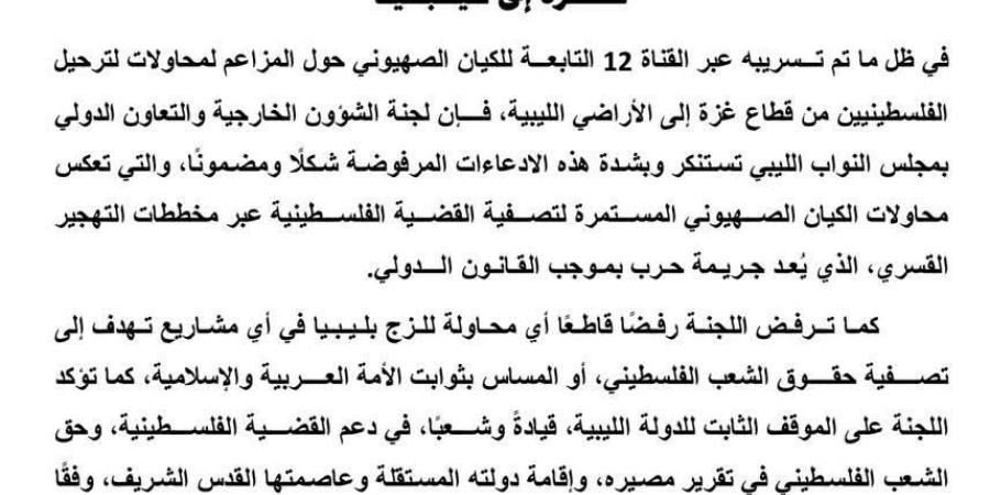 لجنة الخارجية النيابية: رفض قاطع لأي مخططات تهجير للشعب الفلسطيني - عرب بريس