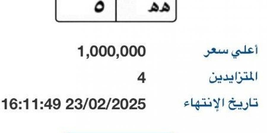 بوابة مرور مصر الإلكترونية تطرح لوحة سيارة بمليون جنية - عرب بريس