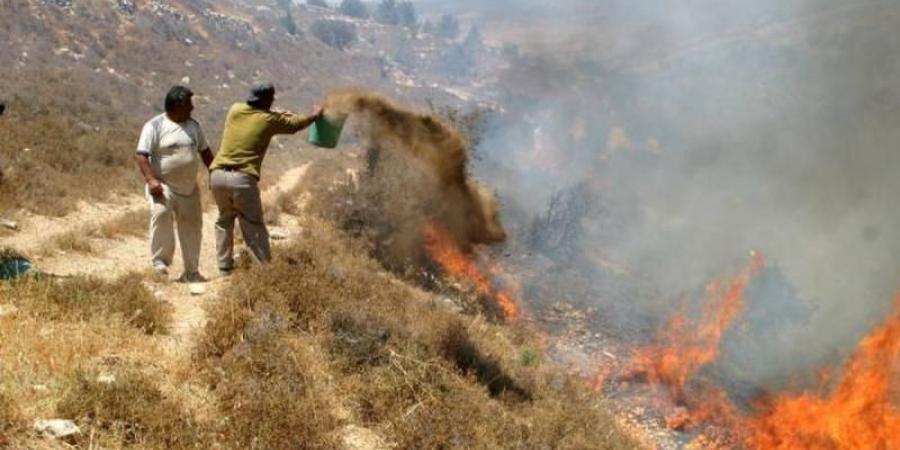 المجلس الوطنى الفلسطينى يدين هجوم مستوطنين على تجمع بدوى شمال القدساليوم الأحد، 23 فبراير 2025 07:49 صـ   منذ 32 دقيقة - عرب بريس