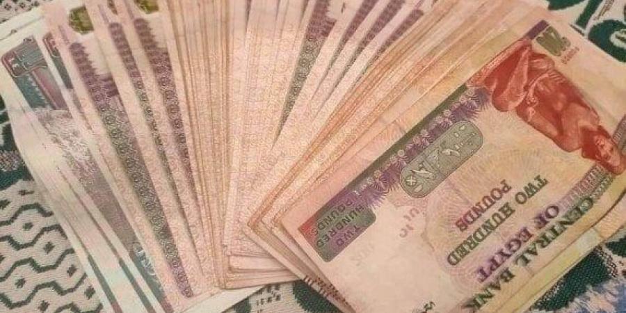 البنك الأهلي المصري يغزو القطاع المصرفي بشهادات ادخار الـ27% - عرب بريس