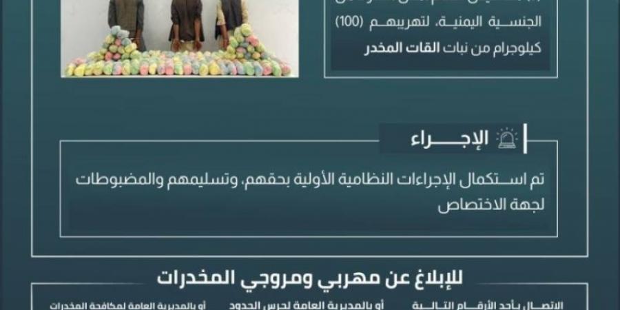 حرس الحدود بجازان يقبض على 3 مخالفين لنظام أمن الحدود لتهريبهم 100 كيلوجرام من نبات القات المخدر - عرب بريس