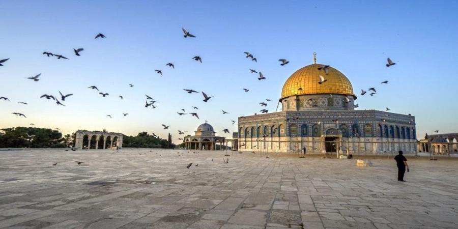 أوقاف القدس: مظلات في باحات المسجد الأقصى لحماية المصلين من البرد - عرب بريس