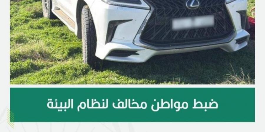 القوات الخاصة للأمن البيئي تضبط مواطنًا مخالفًا لنظام البيئة لدخوله بمركبته في الفياض والروضات في محمية الملك عبدالعزيز الملكية - عرب بريس